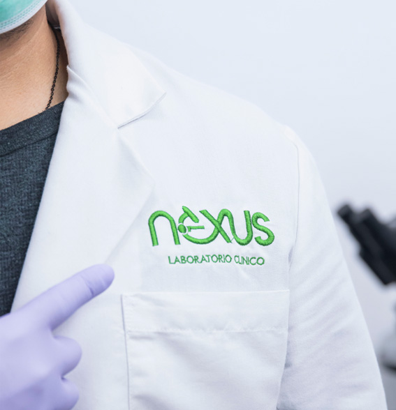 Equipo Nexus